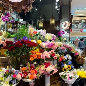 Meet your Posher, Isabella